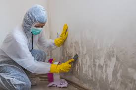 Best Crawl Space Mold Remediation  in Ventnor City, NJ